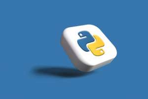 Python Python